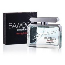 Bamboo America