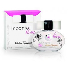 Incanto Bloom